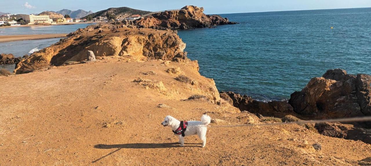 הוילה El Puerto de Mazarrón Sunrise Den, A Pie De Playa, Vista Al Mar Y Piscina מראה חיצוני תמונה