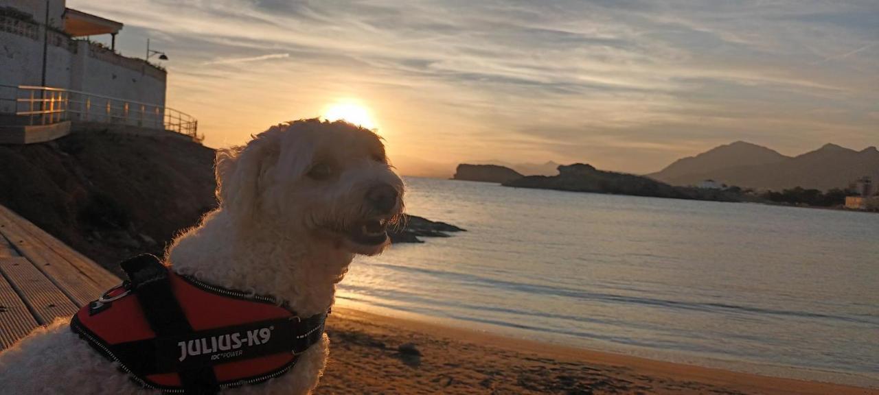 הוילה El Puerto de Mazarrón Sunrise Den, A Pie De Playa, Vista Al Mar Y Piscina מראה חיצוני תמונה